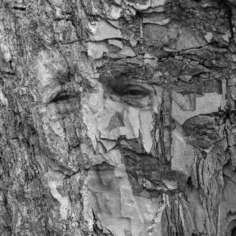 Baladakis George - 009